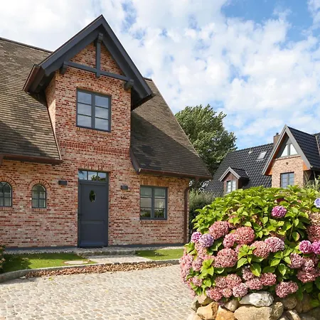 Dünenhafer